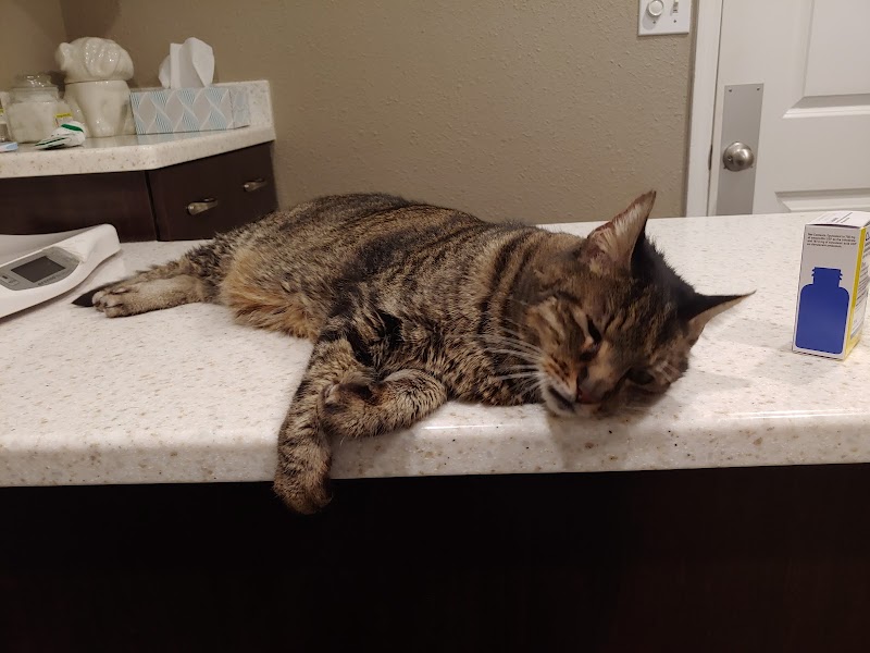 Animal Care Center-Pasco County: Reeves Kenneth DVM photo 5
