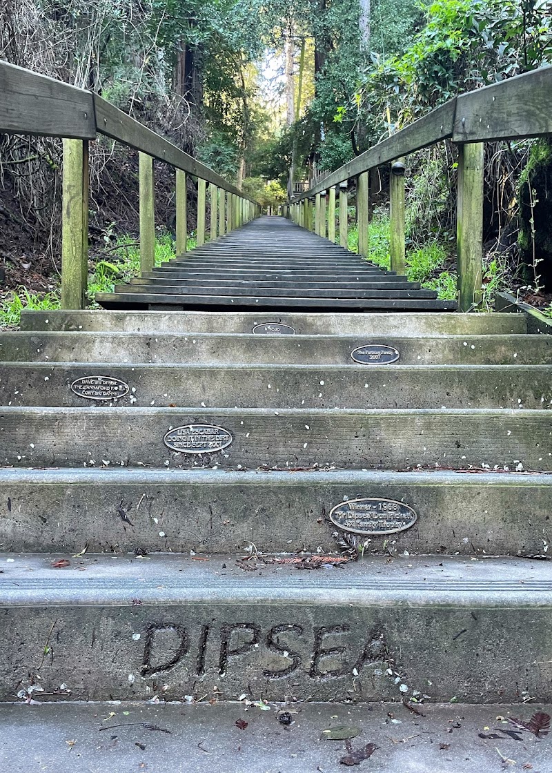 Dipsea Trail Head photo 4