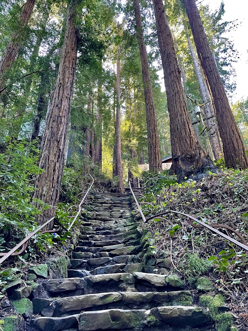 Dipsea Trail Head photo 3