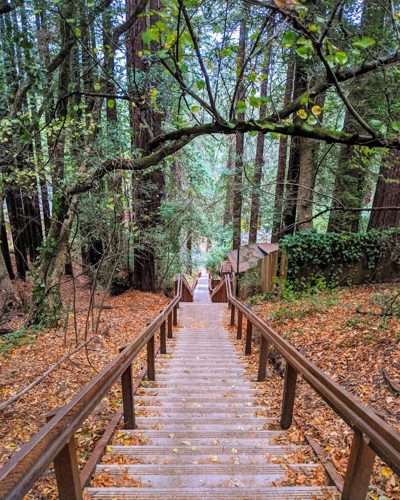 Photo of Dipsea Trail Head
