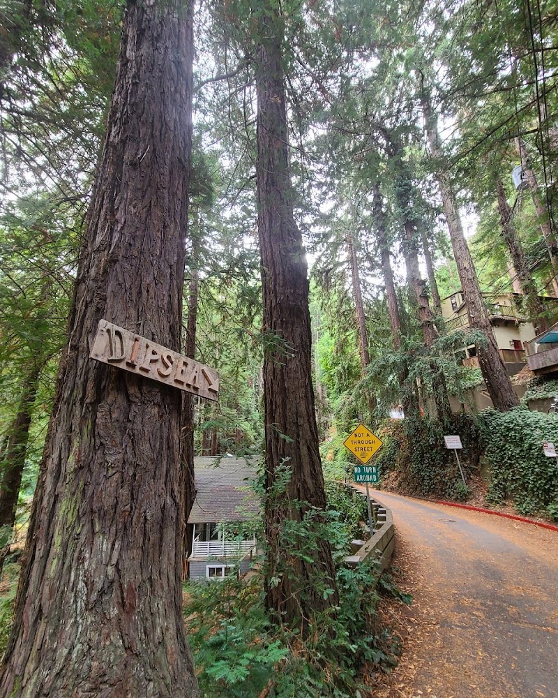 Dipsea Trail Head photo 5