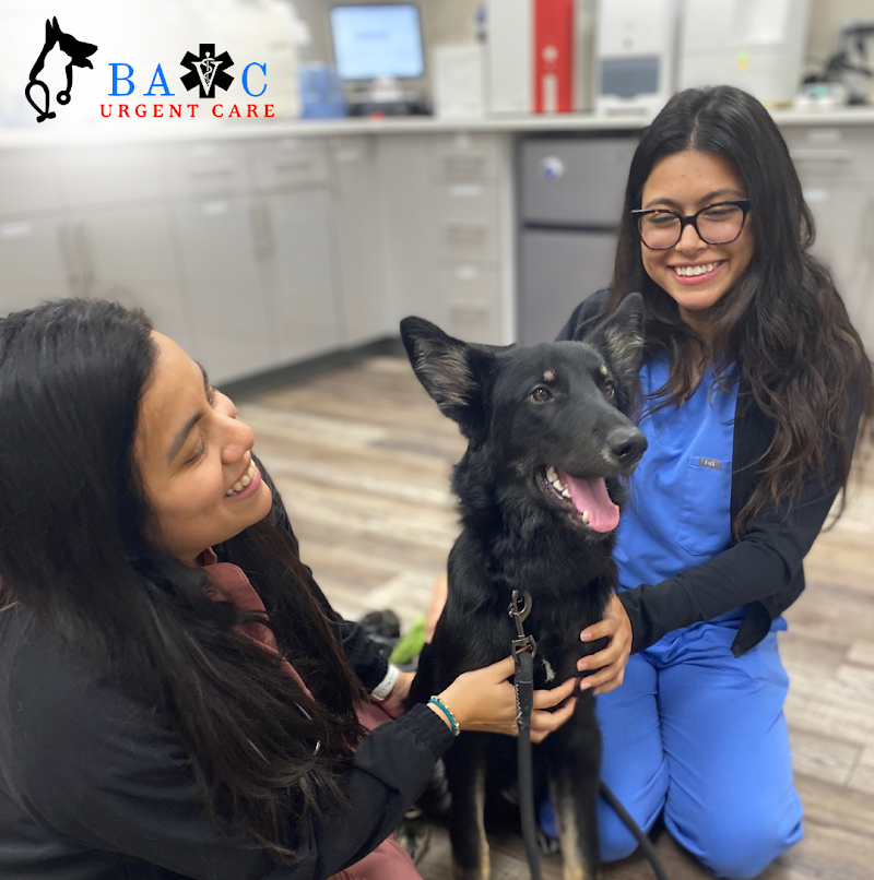 Bay Area Veterinary Care photo 3
