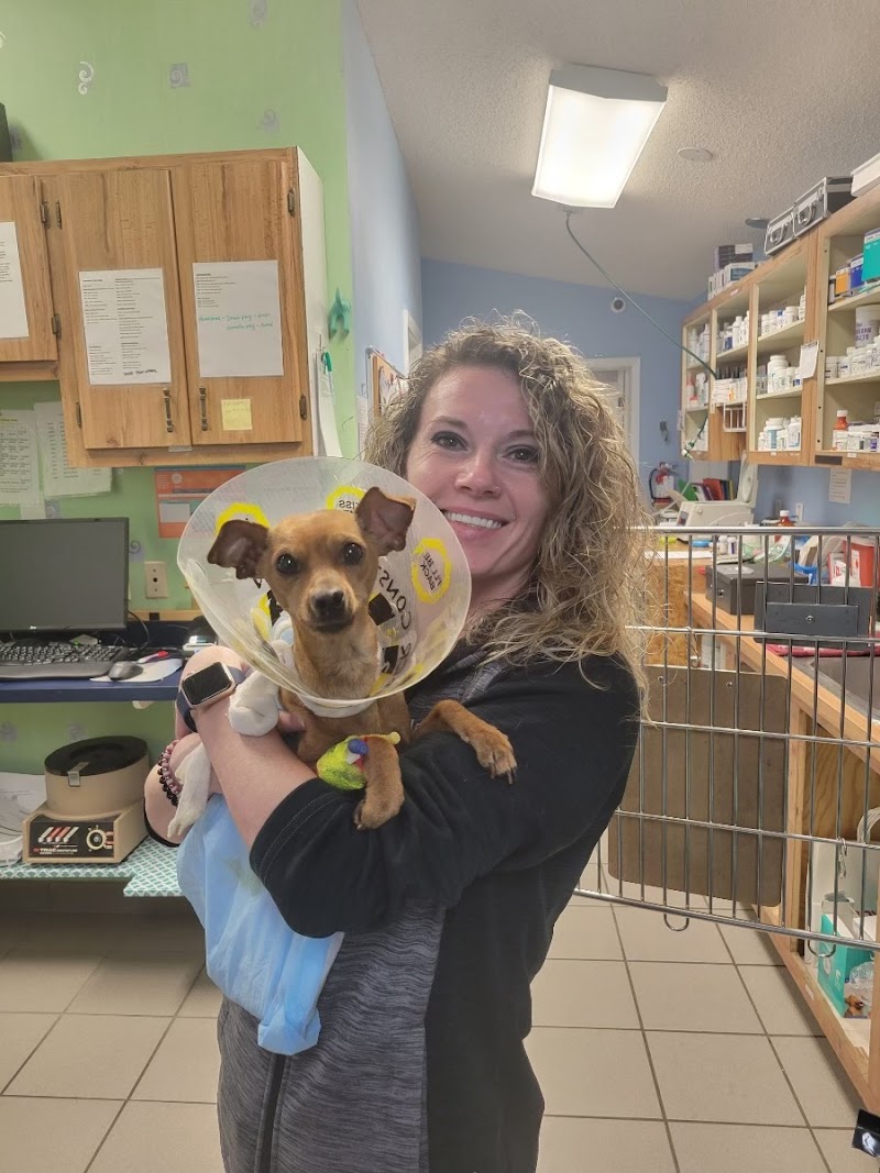 Photo of Woodlands Animal Hospital