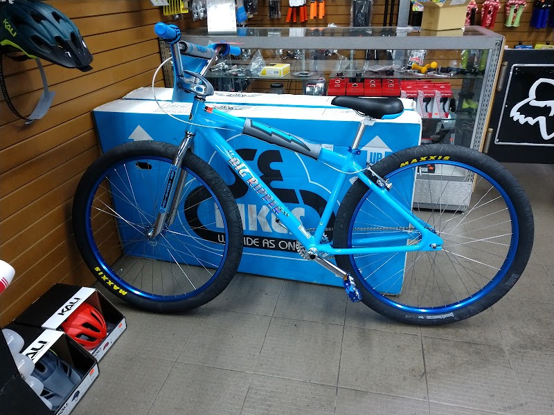 Robby's Bicycles photo 3
