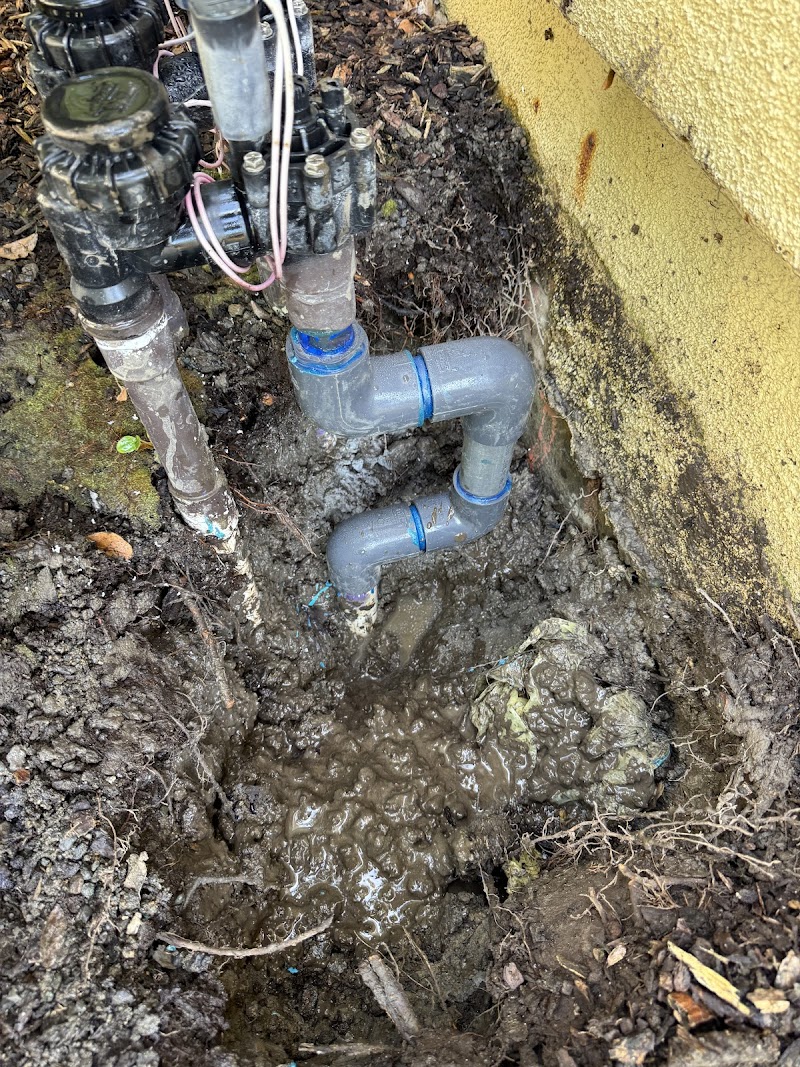 Boxers Plumbing photo 3