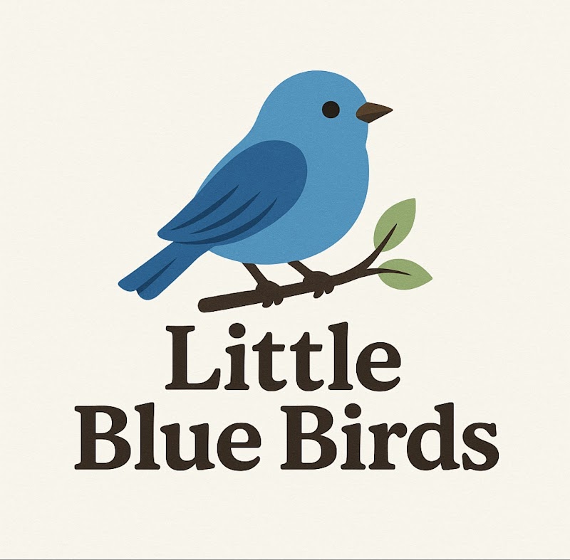 Little Blue Birds Family Daycare Home photo 2