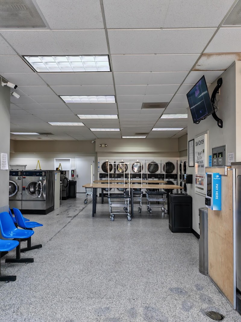 Clayton Wash & Dry photo 5