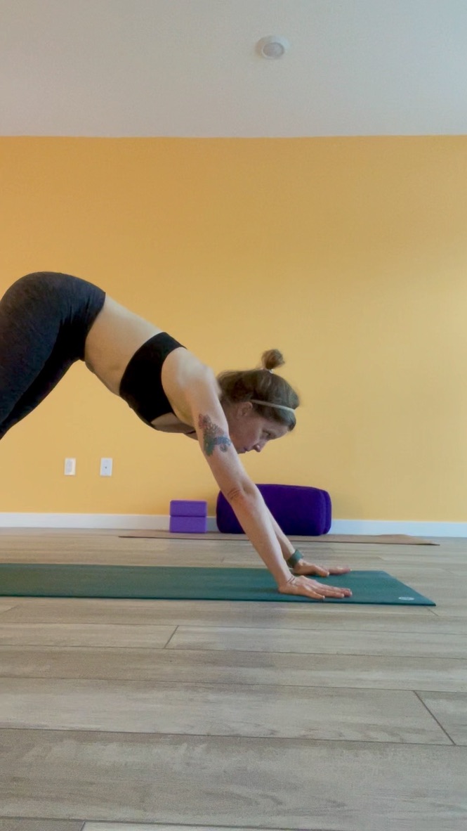 Sattva Yoga photo 3