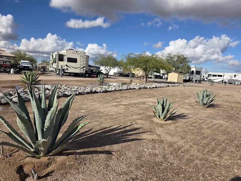 Desert Gardens RV Park photo 4
