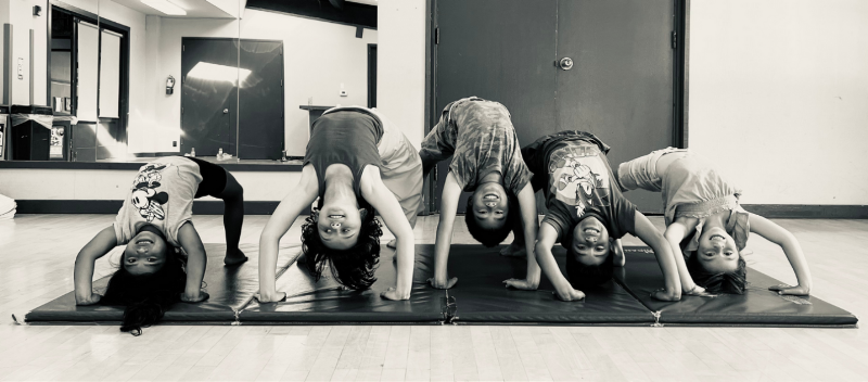 Capoeira Mestre Bimba Bay Area photo 2