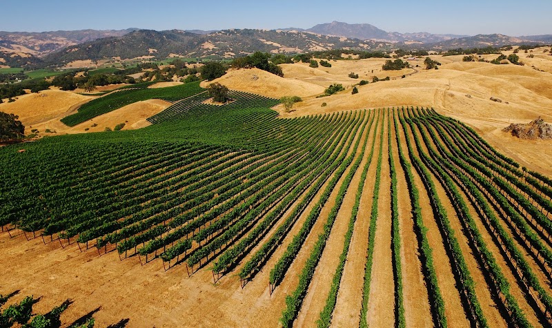 Jordan Vineyard & Winery photo 5