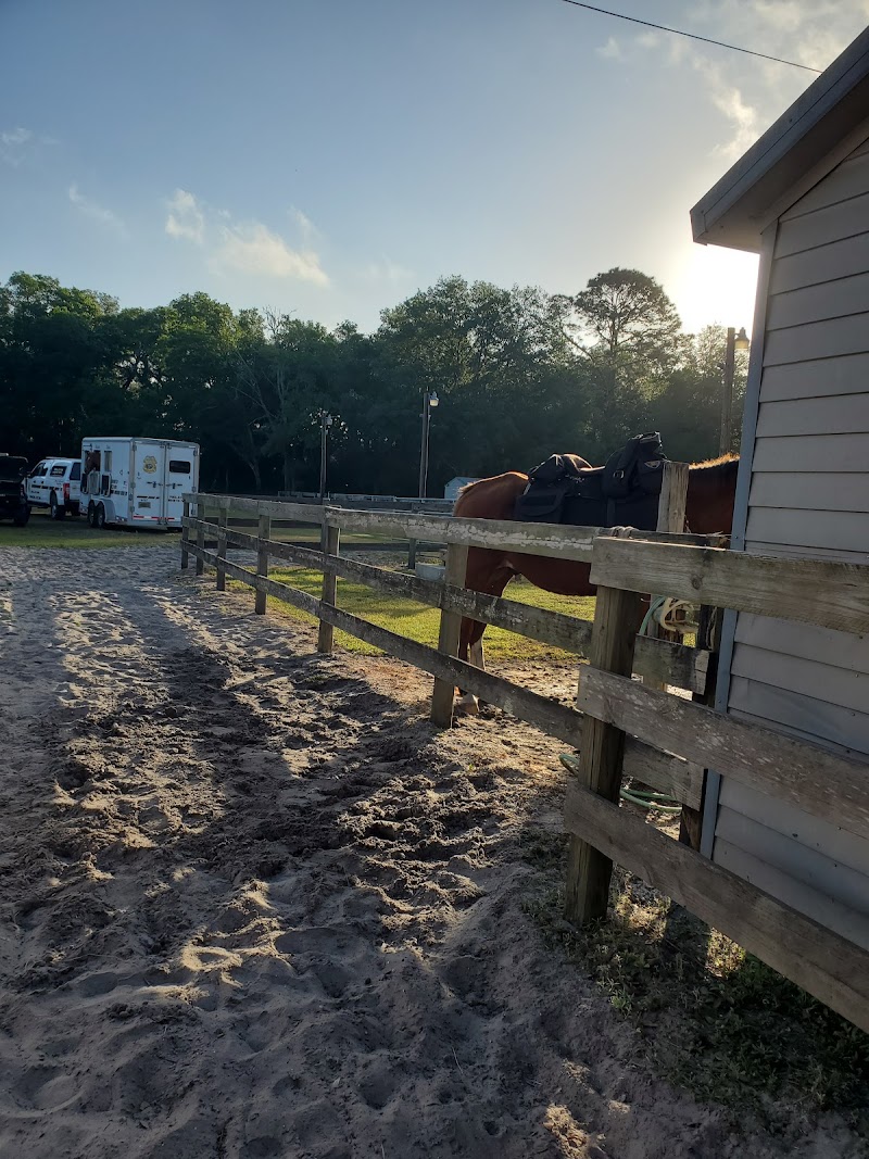 Photo of Suncoast Equine, Inc