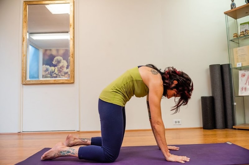 Divine Alignment Chiropractic Laurie Klein DC photo 2