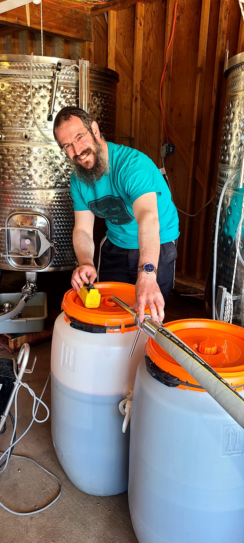 Invei Kosher Wine photo 3