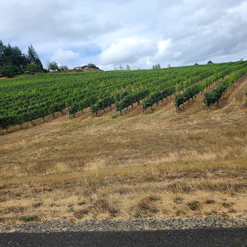 Invei Kosher Wine photo 5
