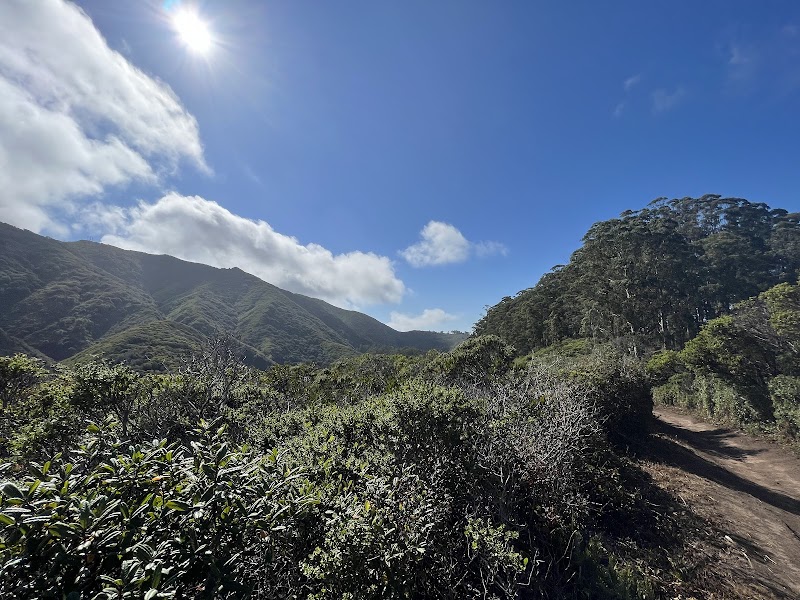 Photo of San Pedro Valley Park Visitor Center