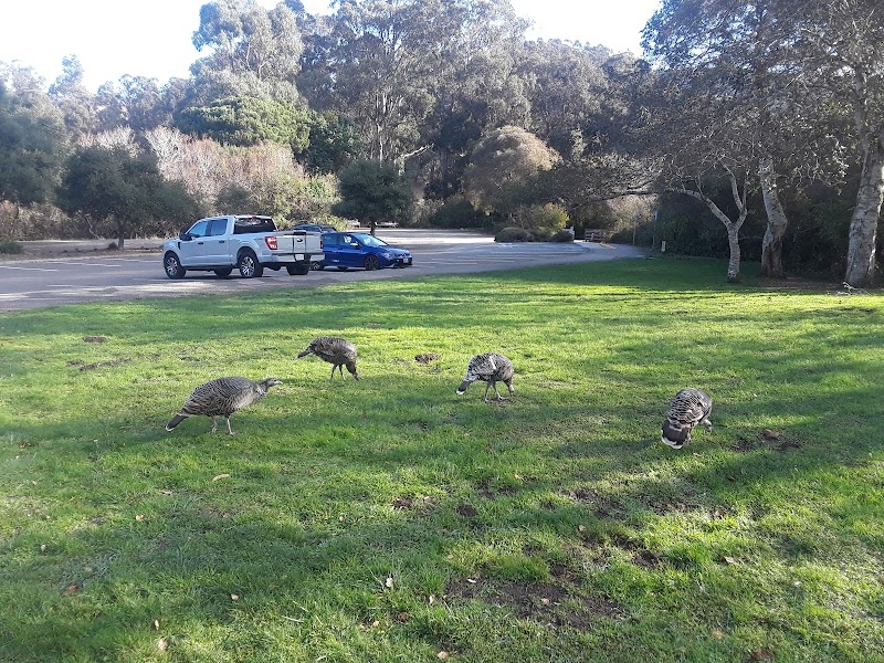 San Pedro Valley Park Visitor Center photo 4