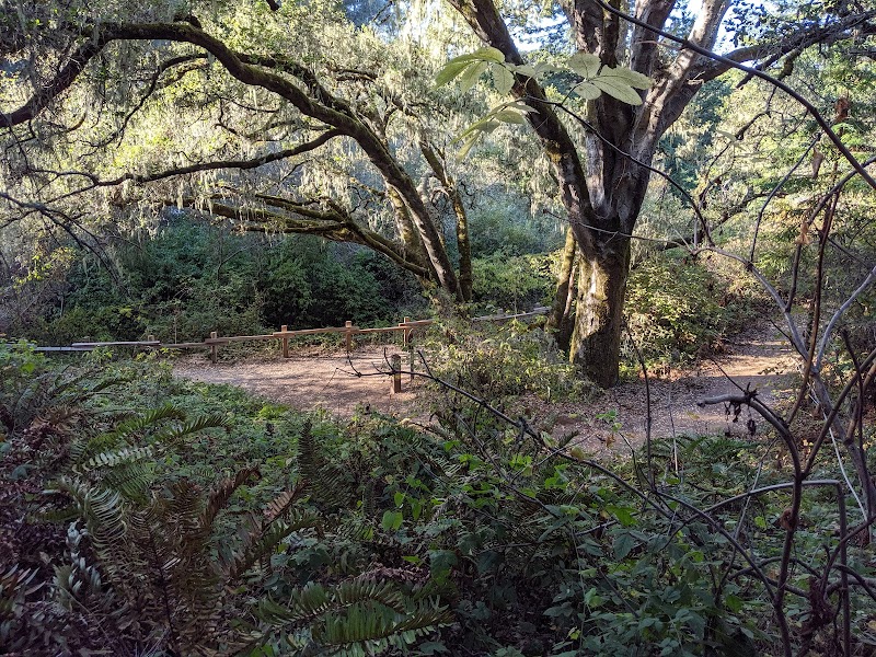 San Pedro Valley Park Visitor Center photo 3