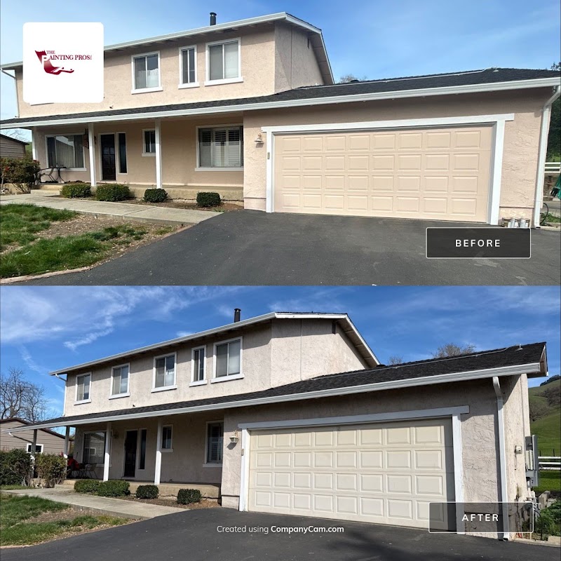 The Painting Pros, Inc. photo 4