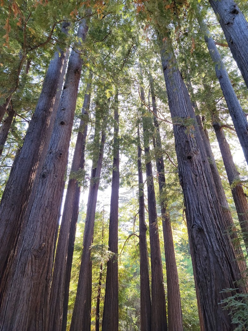 Photo of Sanborn County Park