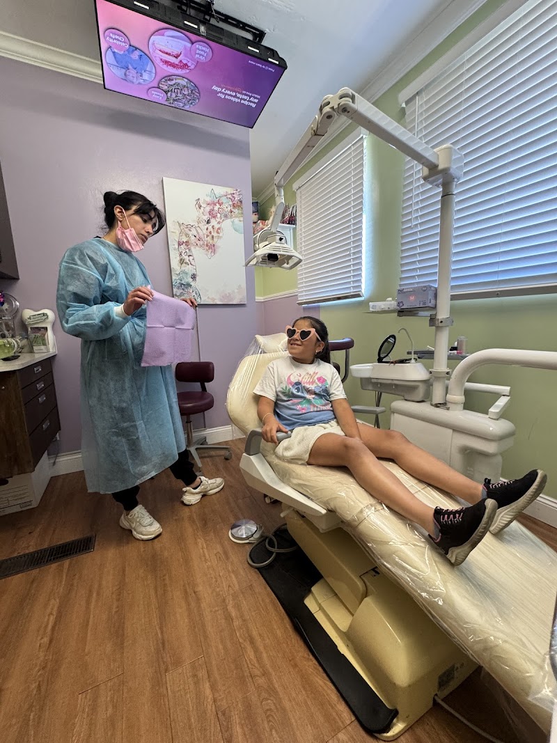 Saratoga Pediatric Dentistry - Dr. Rojin Amiri DDS, MSD photo 2