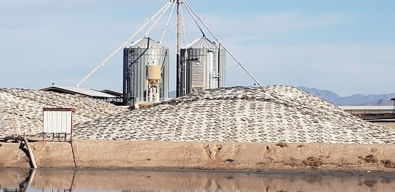 Paloma Dairy photo 2