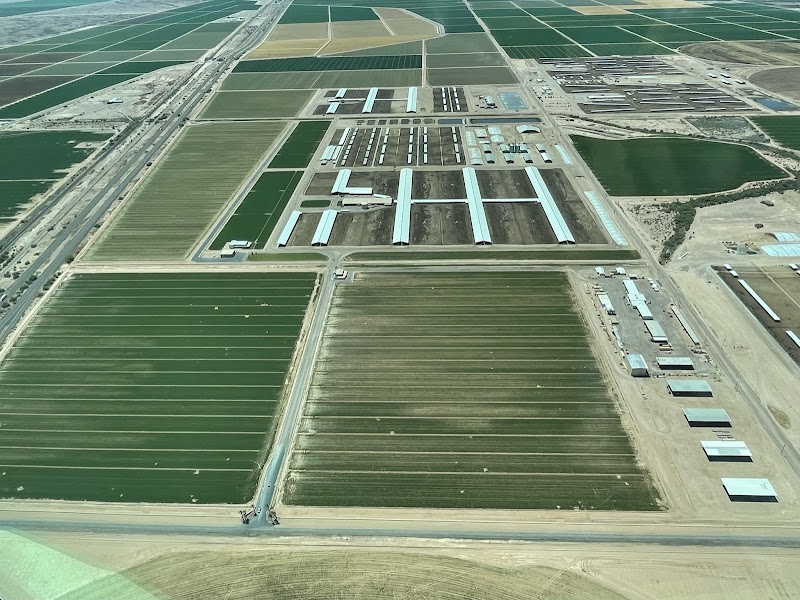 Photo of Paloma Dairy
