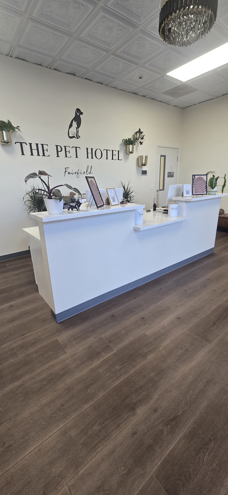 The Pet Hotel Fairfield photo 4