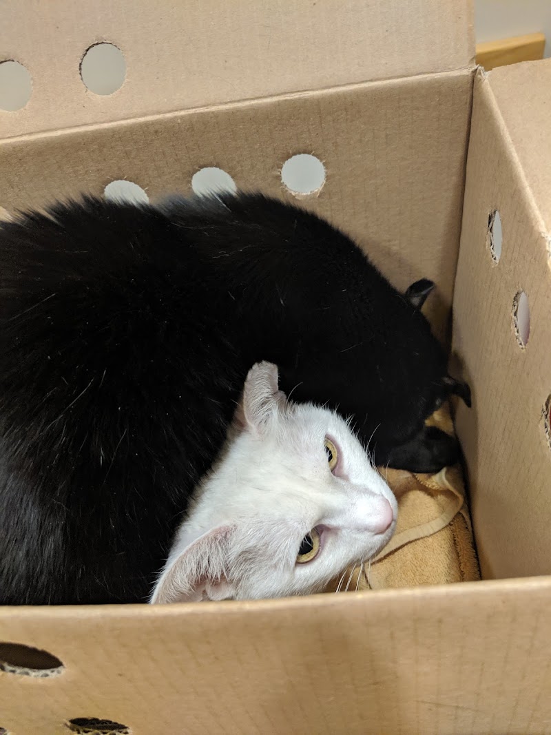 Photo of Westborough Pet Hospital