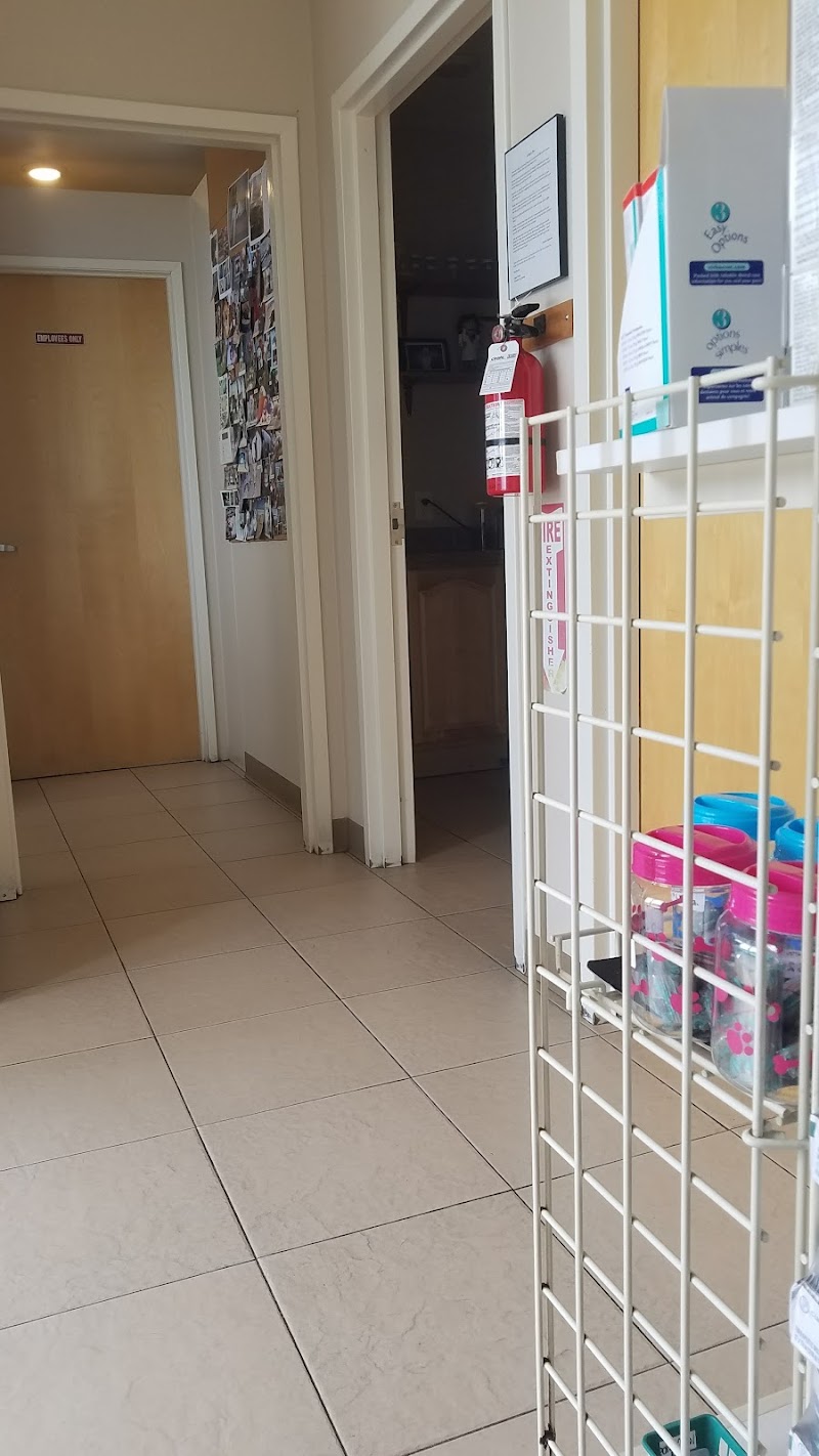 Westborough Pet Hospital photo 5