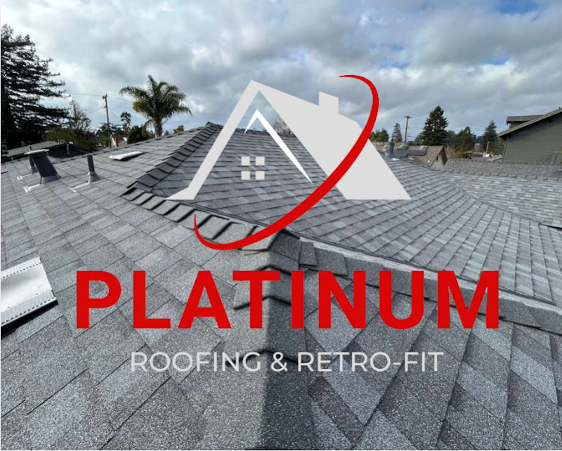 Platinum Roofing And Retro-Fit photo 2