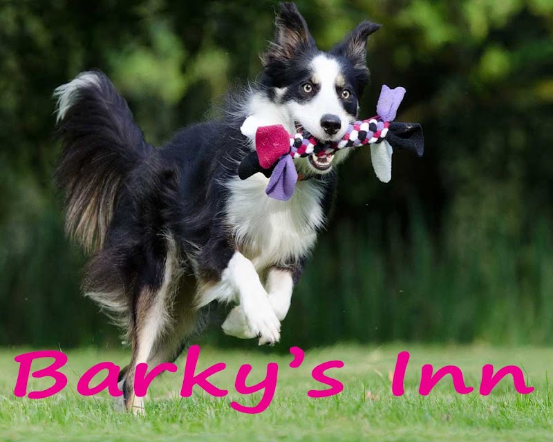 Photo of Barky's Inn