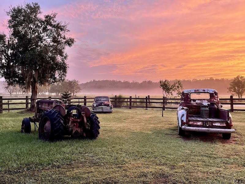 E&E Family Farm photo 2