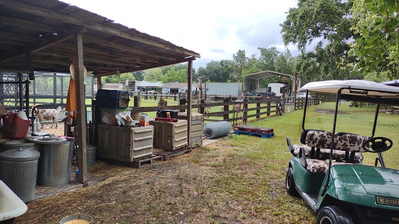 E&E Family Farm photo 5