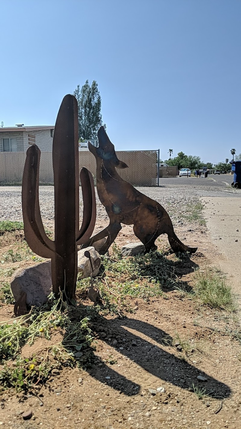Photo of Coyote and the Cactus