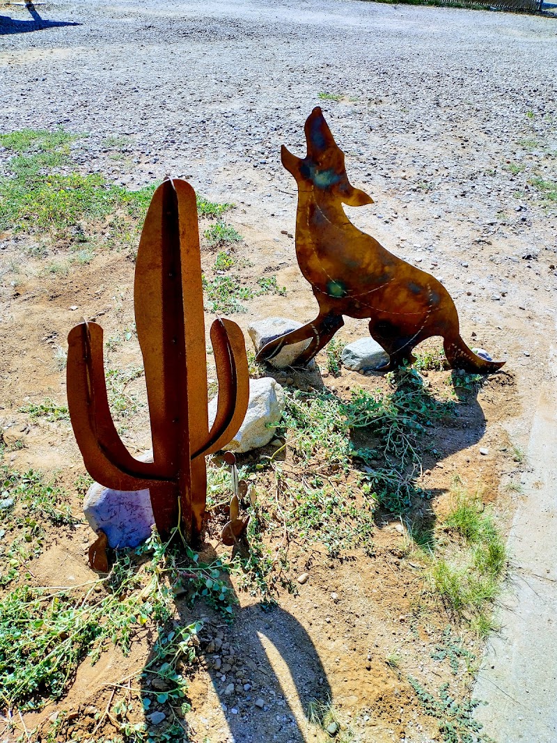 Coyote and the Cactus photo 2