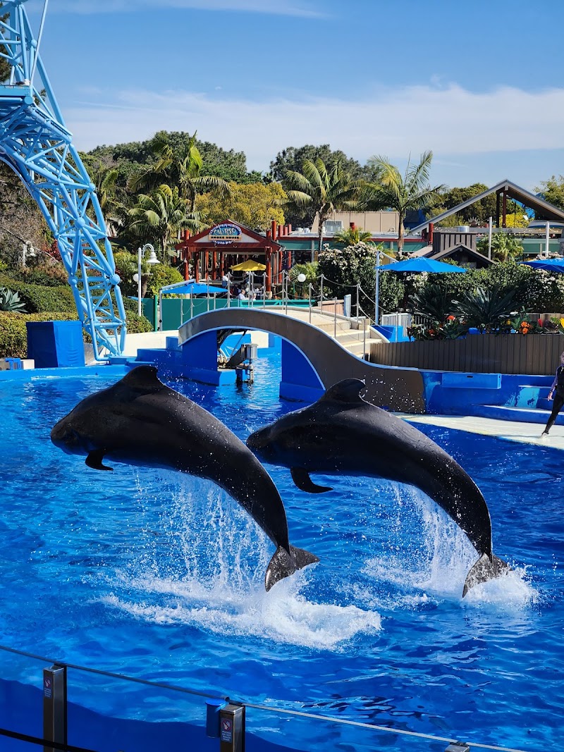 SeaWorld San Diego photo 3