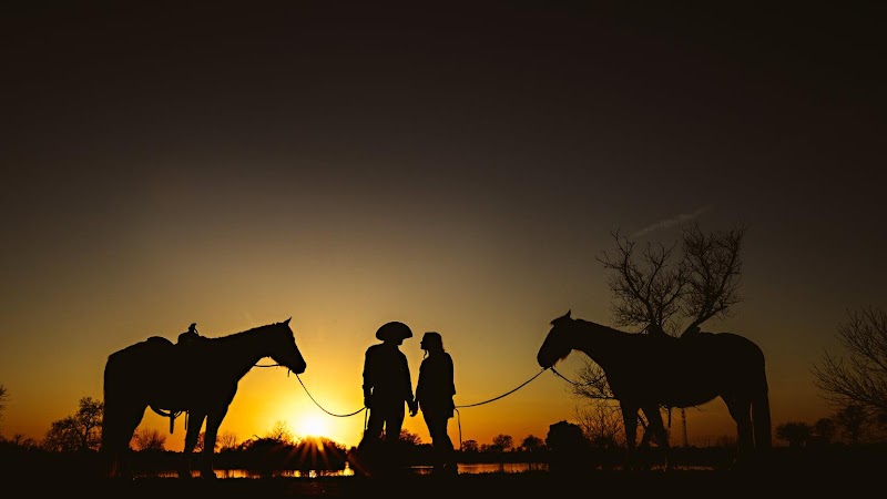 Photo of Ocean View Stables
