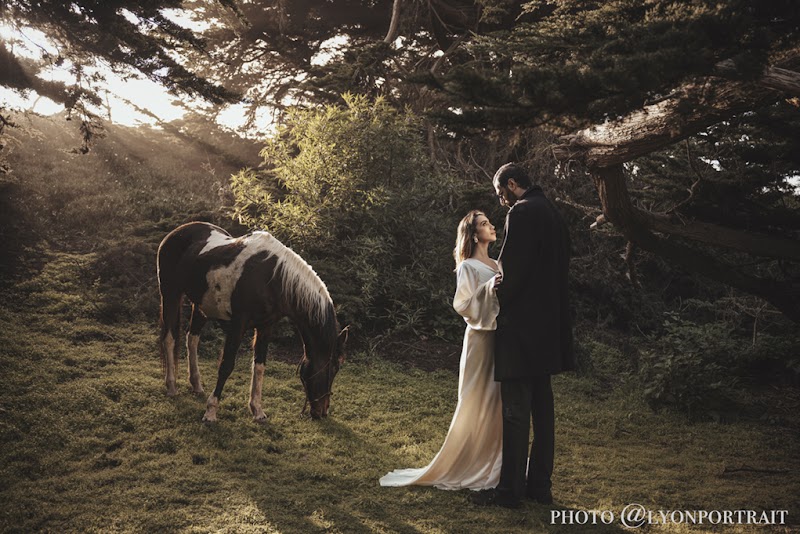 Ocean View Stables photo 4