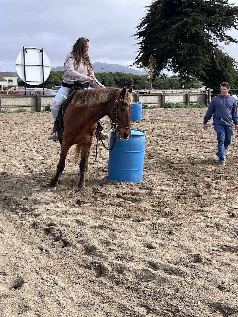 Ocean View Stables photo 5
