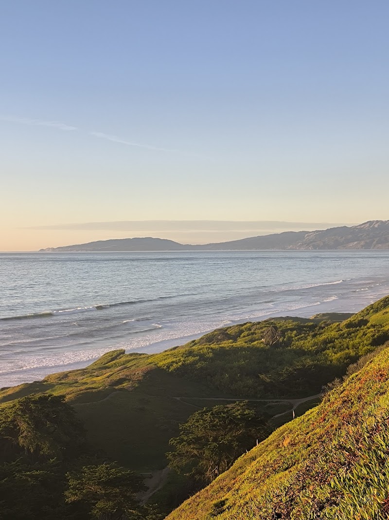 Ocean View Stables photo 3