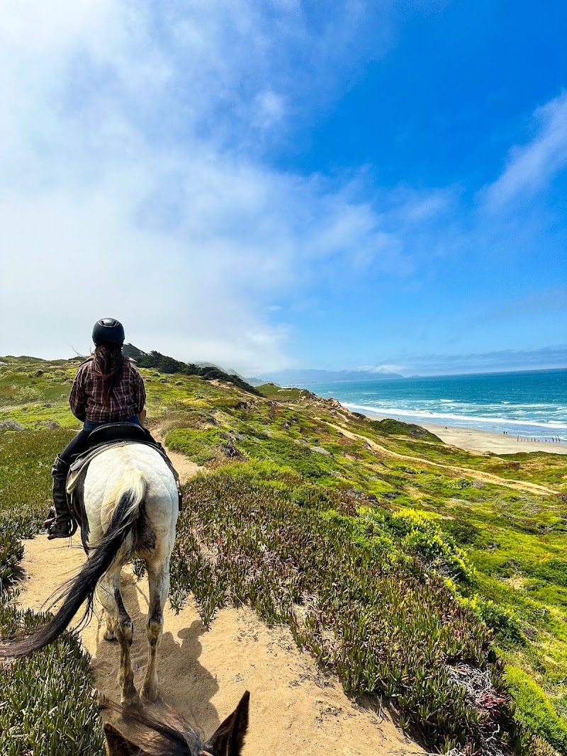 Ocean View Stables photo 2