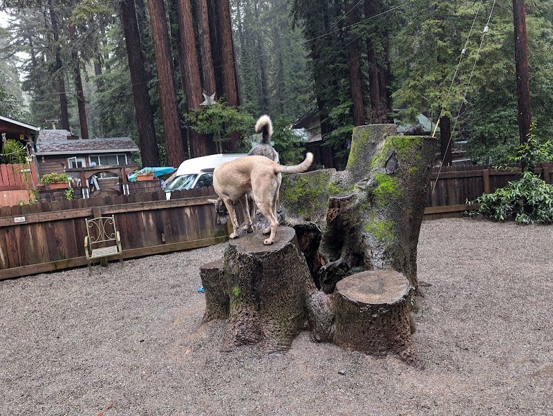 Bruno Farnocchia Dog Park photo 3