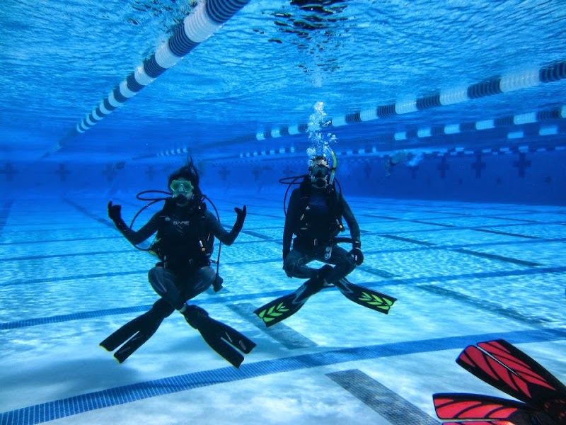 Scuba Fusion Dive Center photo 5