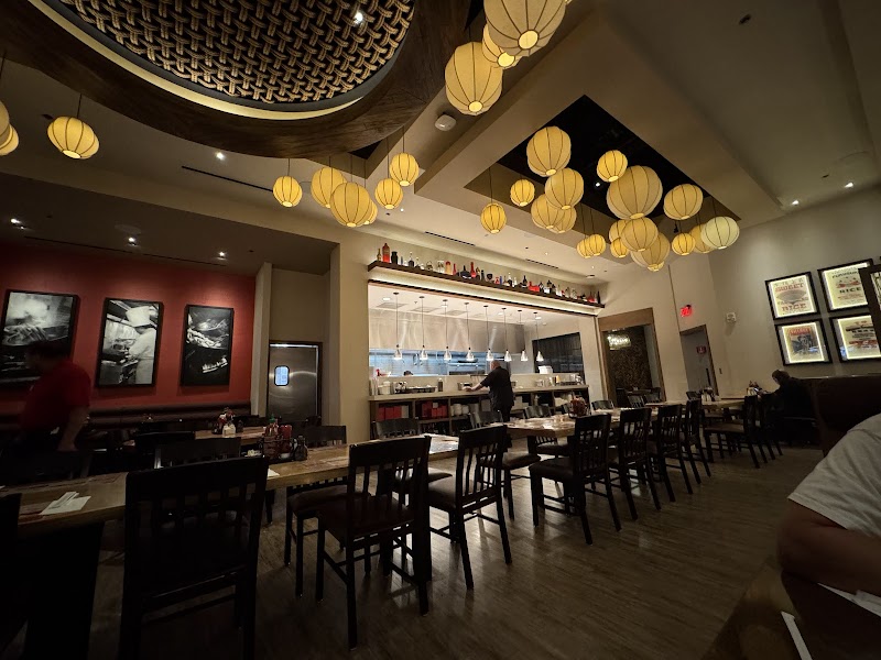 California Noodle House photo 4