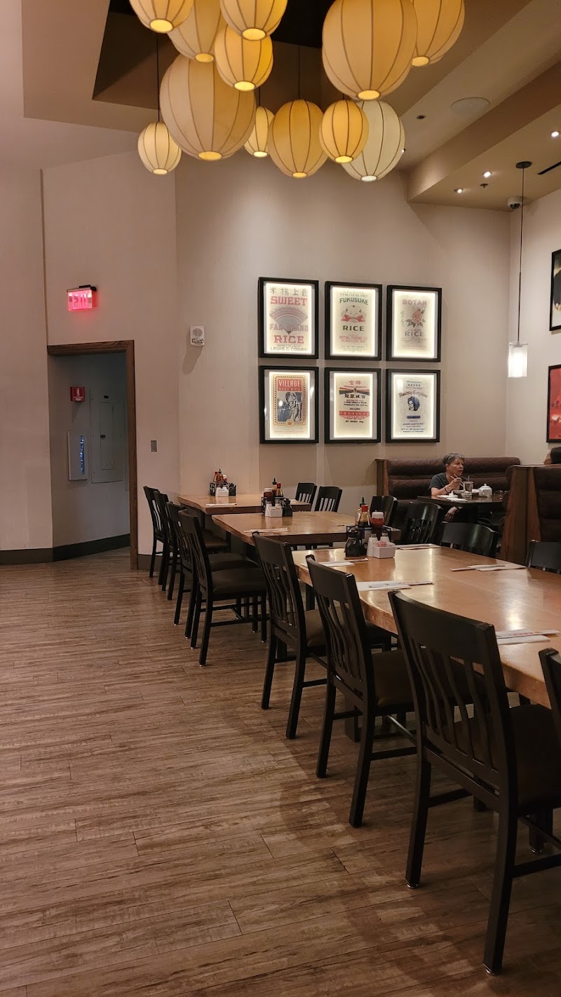 California Noodle House photo 5