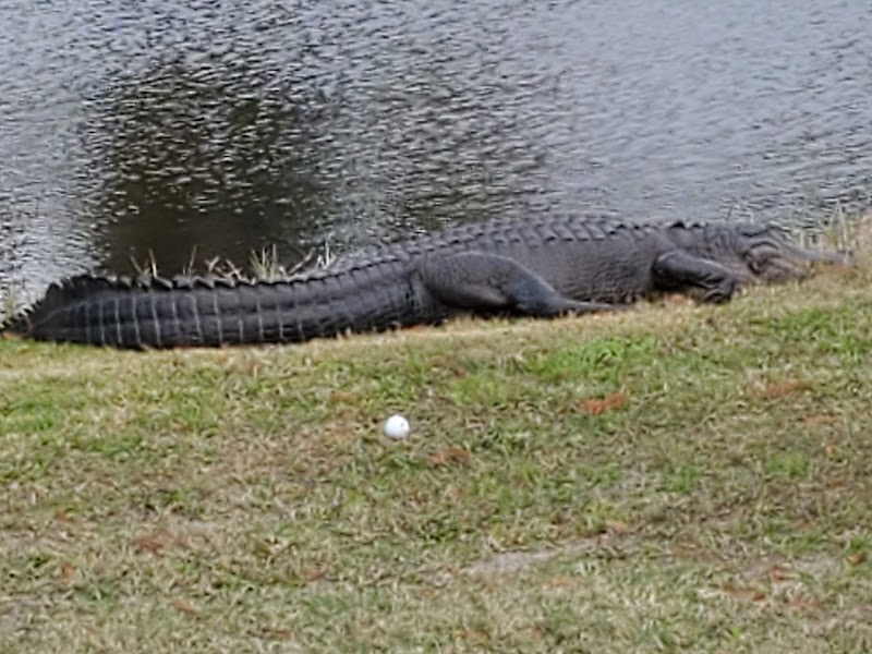 Willowbrook Golf Course photo 3