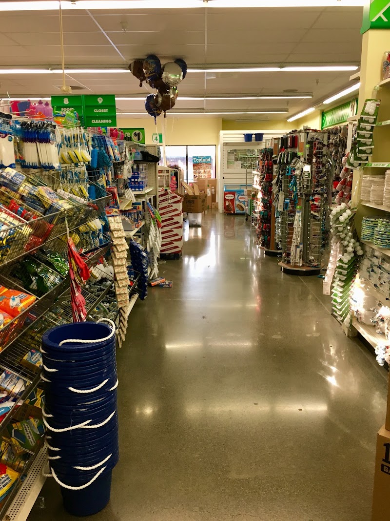 Dollar Tree photo 5