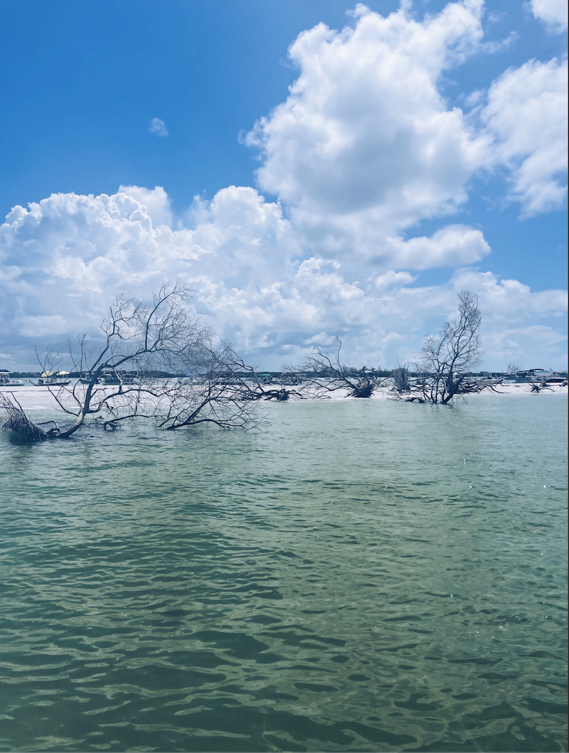 Island Time Tours FL photo 3
