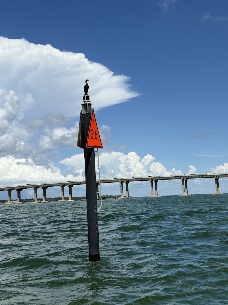 Island Time Tours FL photo 4